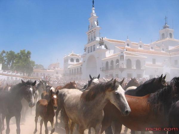 إل روثيو Casa Rural Donana 51 المظهر الخارجي الصورة